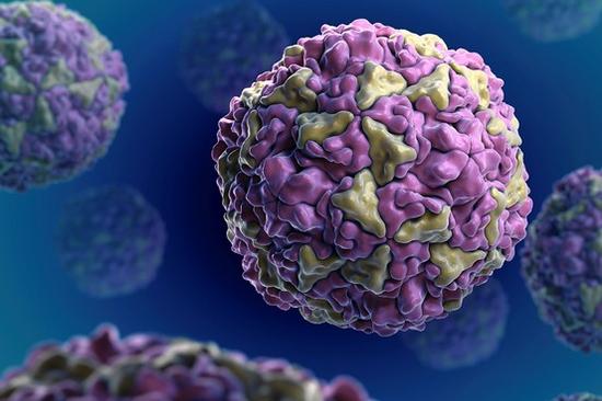 鼻病毒是造成普通感冒的主要原因