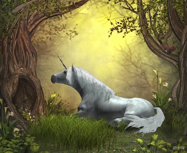 Woodland Unicorn