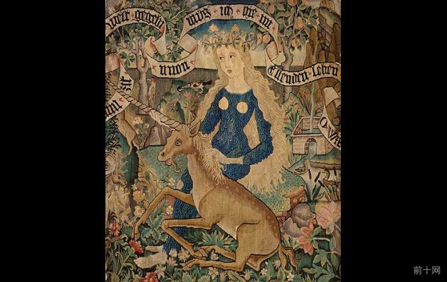 8-one-horned-wild-ass