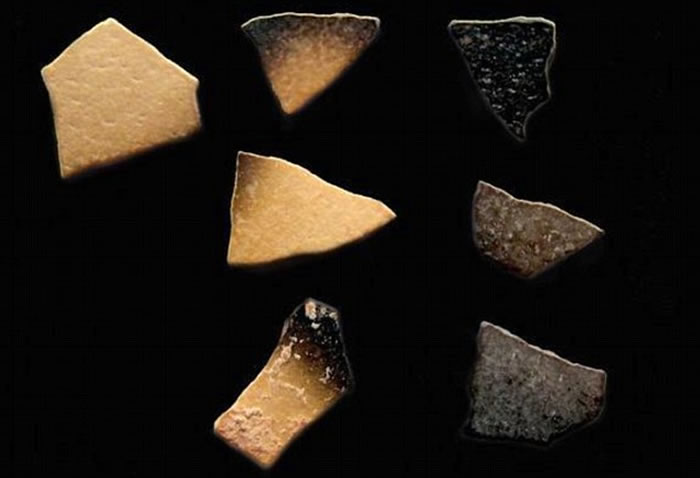 澳大利亚史前“牛顿巨鸟”的灭绝与原始人类活动有关