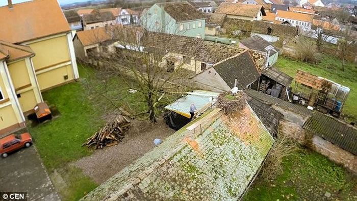 母鹳鸟在克罗地亚遭猎人射伤翅膀 公鹳鸟15年来坚持每年飞13000公里回来相聚