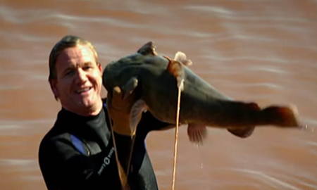 为了一条野生鲶鱼，顶级厨神也是豁出去了！