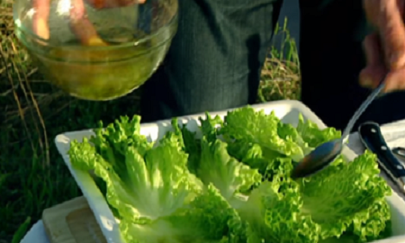 为了一条野生鲶鱼，顶级厨神也是豁出去了！