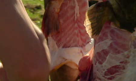 为了一条野生鲶鱼，顶级厨神也是豁出去了！