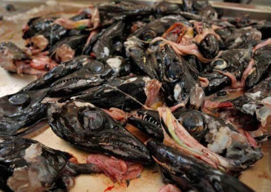 让人无法吞咽的黑暗料理 中国占了3个(6)