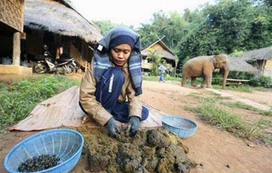 让人无法吞咽的黑暗料理 中国占了3个(4)