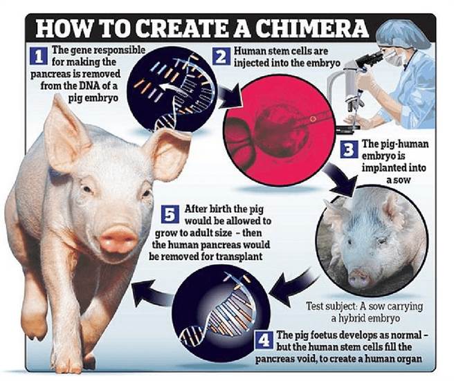 这次放宽禁令存在很大争议