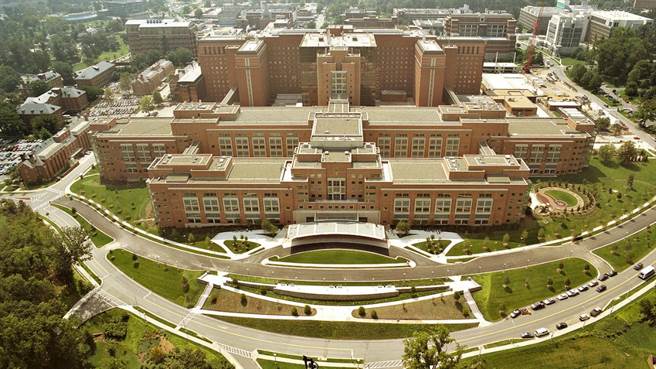 主要是试图在动物体长出人体组织或器官，以更好地理解人类疾病和寻找治疗的方法