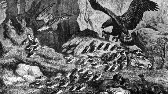 虽然民间传说中有这样的描写，但旅鼠实际上并不会跳崖自杀。