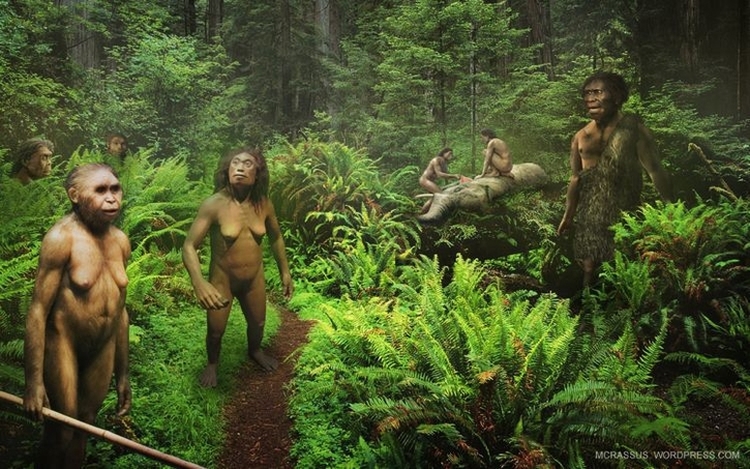 750xauto-mysterious-hobbit-like-creature-in-flores-turns-out-not-to-be-human-indonesian-hobbit-1602191