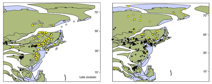 苏铁杉化石在东亚地区侏罗纪时期的分布