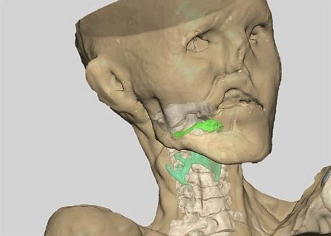 5300年后经过声带重塑竟然说话了