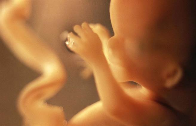 这项研究或将会朝向“设计婴儿”的方向发展...