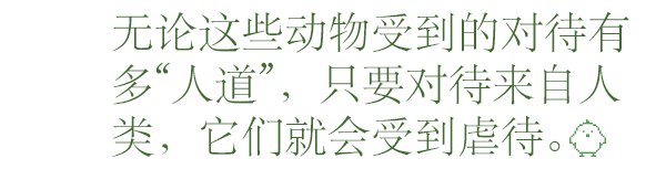 宠物不应该存在