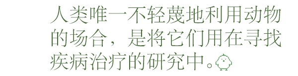 宠物不应该存在