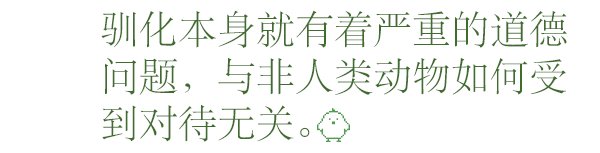 宠物不应该存在