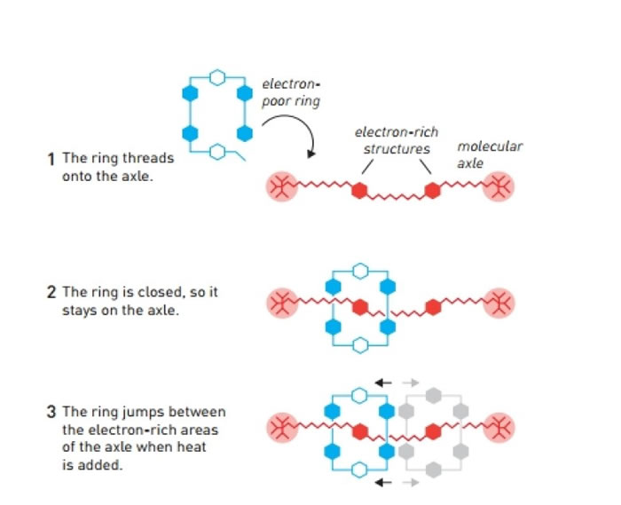 斯托达特研究将环状分子套放到到分子轴上,并围绕分子轴运转的“轮烷”。