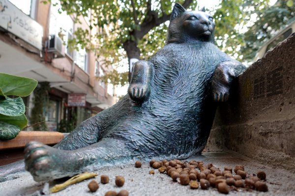 一代名猫Tombili终于拥有了自己的雕像