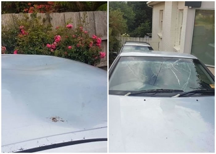 汽车前车盖被压至凹陷,挡风玻璃亦遭破坏。