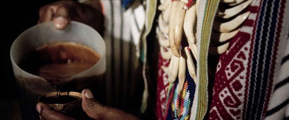 神秘致幻饮料“死藤水”可治疗抑郁症？