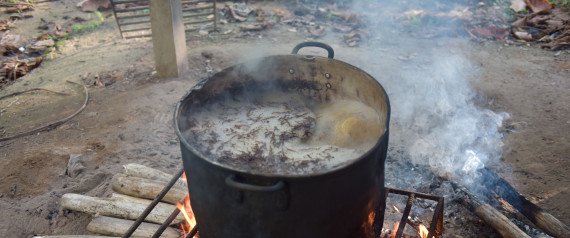 神秘致幻饮料“死藤水”可治疗抑郁症？