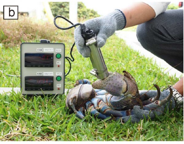 面对地球表面最强“麒麟臂”,骚年你敢一战吗