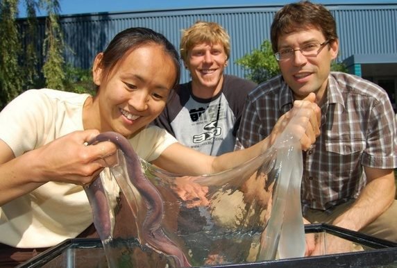 Quora：动物炫酷的防御方式