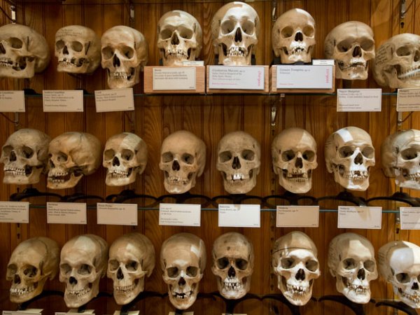 穆特博物馆最恐怖的12件展品