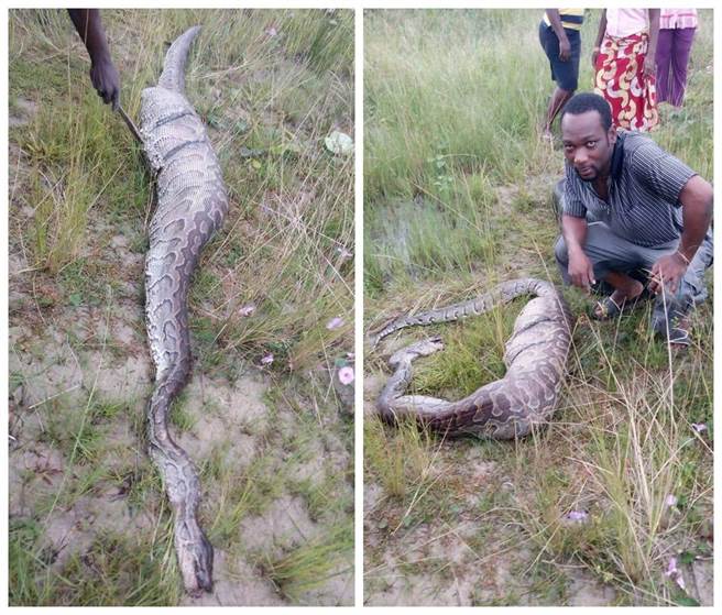 嘿嘿，老哥我一定要和它照相。