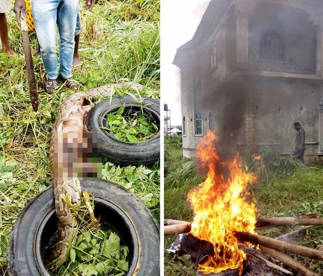 妈啊吓死宝宝了，里面有一只狗。