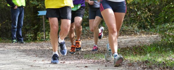 跑步者的脑子,跟音乐人一样灵活