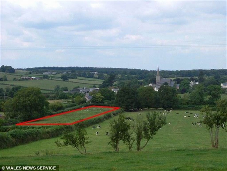 威尔森将毕生积蓄全赌在一片约46英亩的土地上。