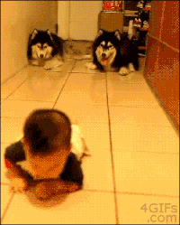 惊人研究:小孩有宠物的陪伴比跟兄弟姐妹在一起更快乐!宠物是最好的对话对象!