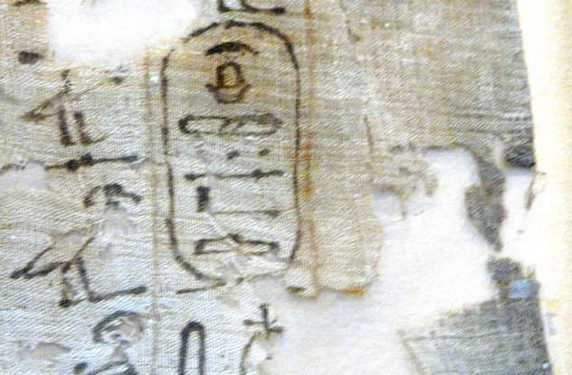 《古埃及关于动物的10件事实》杀害猫咪就处以死刑! - 图片12