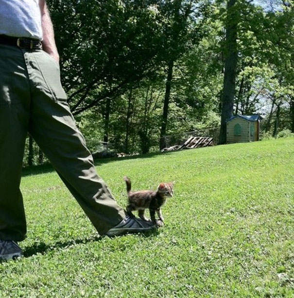 《各种动物的第一次》初体验的新鲜感好兴好兴奋✧ - 图片19