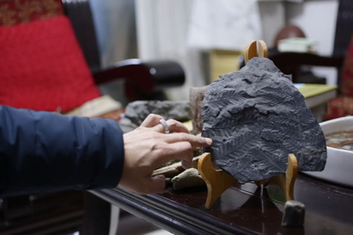 “化石猎人”藏身西南大学图书馆