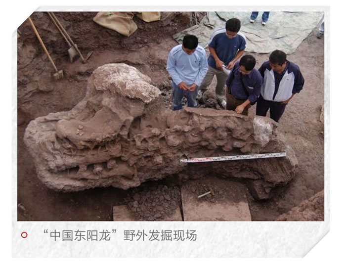 中国东阳龙：一条以浙江东阳命名的恐龙