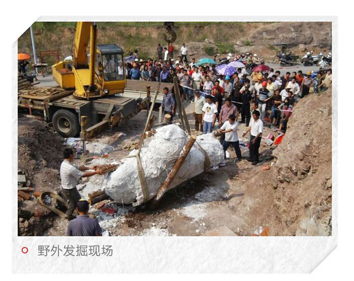 中国东阳龙：一条以浙江东阳命名的恐龙