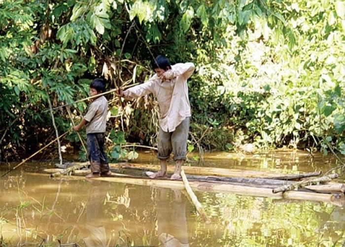 齐曼尼族人平均每日花6至7小时作狩猎及捕鱼。
