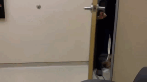 《各种动物的第一次》初体验的新鲜感好兴好兴奋✧ - 图片15