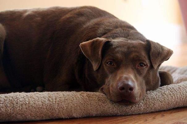 《各种动物的第一次》初体验的新鲜感好兴好兴奋✧ - 图片27