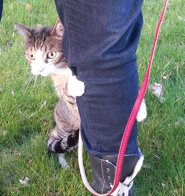 《各种动物的第一次》初体验的新鲜感好兴好兴奋✧ - 图片20