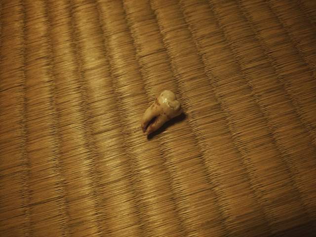 阅览注意《古董铃铛的恐怖体验》诡异的铃声真相原来是...... - 图片5