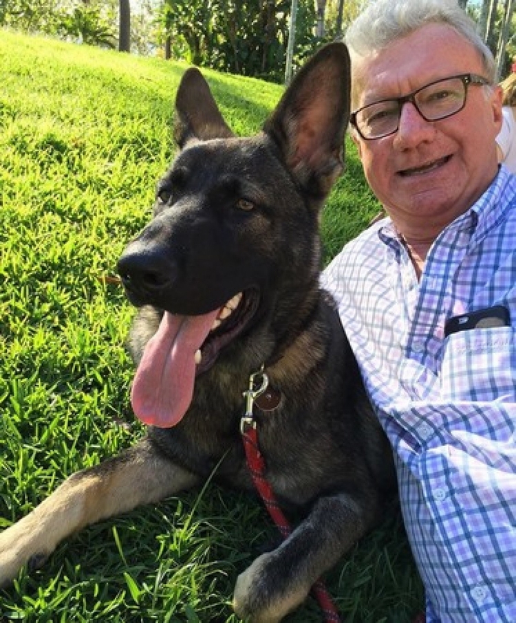 澳洲昆士兰省总督府的迎宾犬Gavel(图/翻摄自BBC)