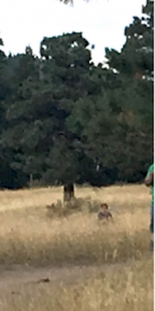 18張讓你困惑到“腦漿從耳朵流出來”的無法解釋照片。#17 會瞬間移動的女子!