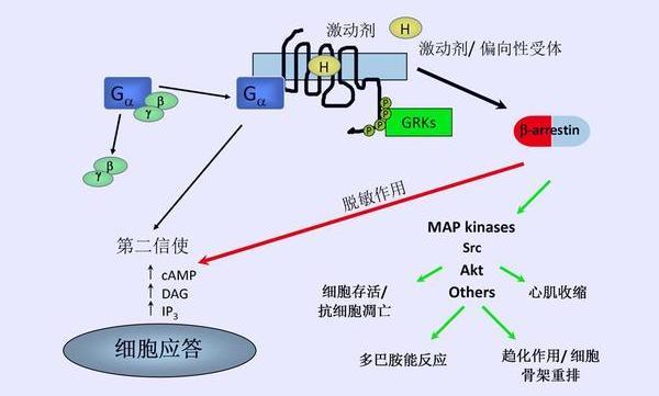 那些看不见的诺贝尔奖