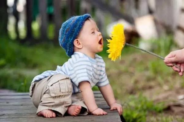 那些看不见的诺贝尔奖