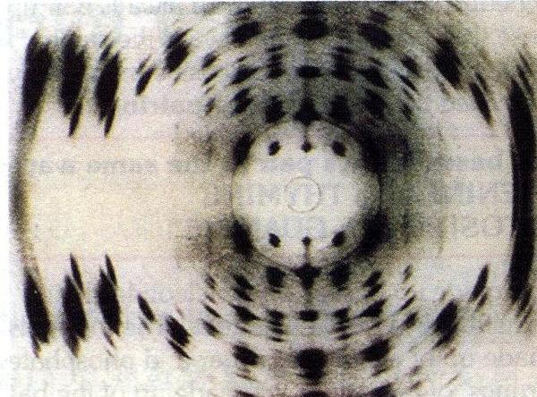 那些看不见的诺贝尔奖