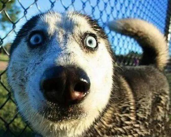 我们与上帝的距离只差一台量子计算机