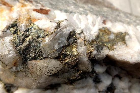 产在石英中间的黄铜矿（摄影：马志飞）